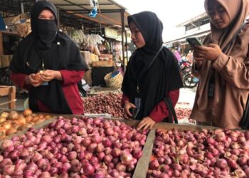 Harga Bawang Merah di Takengon Stabil