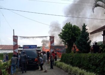 Si Jago Merah Hanguskan Rumah Daruni Jagong Jeget