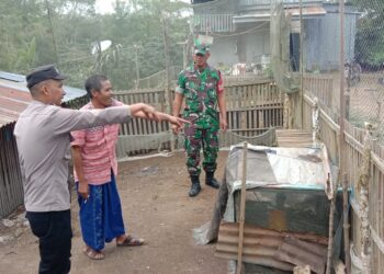 Beruang Madu Muncul di Pemukiman, BKSDA Akan Terus Memantau