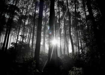 Tengah Berpuasa, Warga Rusip Antara Hilang di Hutan