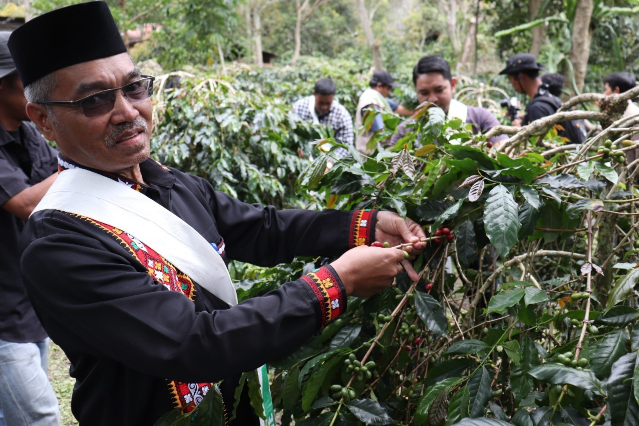 Festival Panen Kopi, Upaya Menjaga Warisan Leluhur - Harie.id