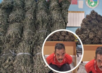 Kurir Ganja Asal Aceh Utara Dibekuk Polisi di Aceh Tengah 