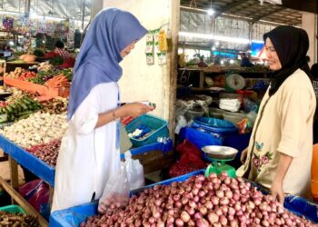 Harga Bawang Merah di Takengon Bertahan di Rp50-55 Ribu Per Kilo
