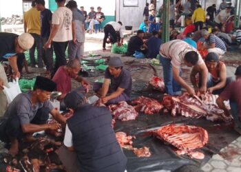 Kampung Blang Kolak I Sembelih 16 Ekor Hewan Qurban