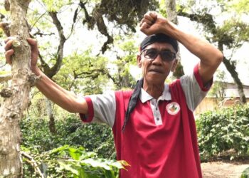 Zaini Tantang Calon Bupati Aceh Tengah Bicara Tentang Kopi Gayo