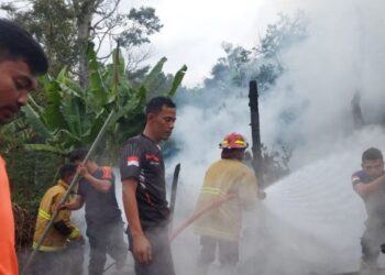 Kebakaran Hanguskan Rumah Kebun di Kampung Tebes Lues