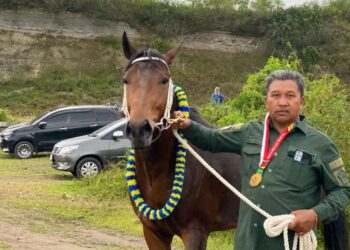 Pemilik Kuda Tagih Janji Hadiah Pacuan Kuda Tradisional PON Aceh-Sumut