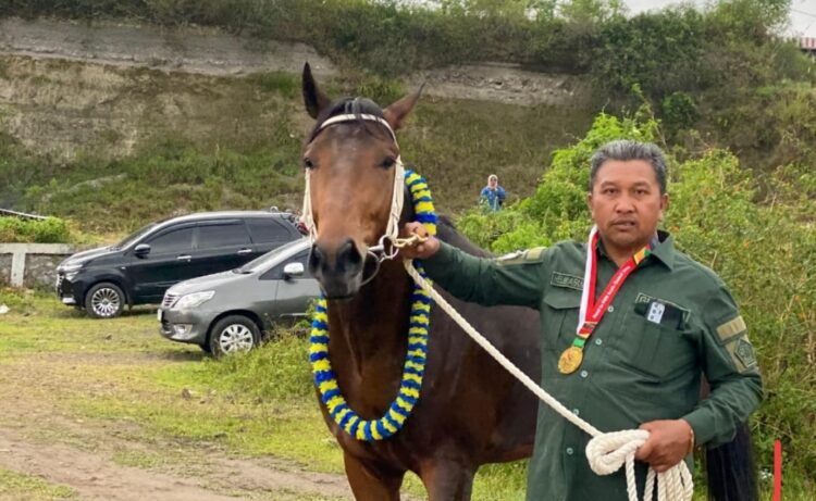 Pemilik Kuda Tagih Janji Hadiah Pacuan Kuda Tradisional PON Aceh-Sumut