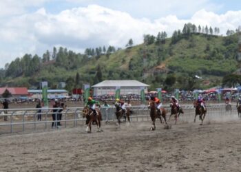Kesal! Owner Kuda PON Tak Diundang Temu Ramah di Pendopo Aceh Tengah 