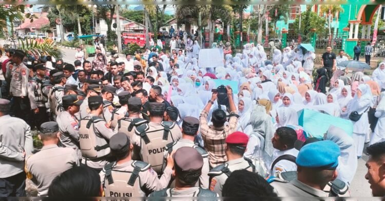 Ratusan Nakes Desak Masuk ke Halaman Gedung DPRK Aceh Tengah