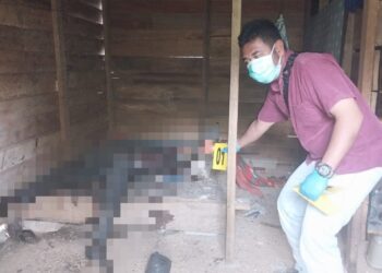 Tragis! Mayat Ditemukan Membusuk di Kebun Terpencil di Bener Meriah