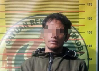 Bawa Ganja 2 KG, Pria Nagan Raya Dibekuk Polisi di Takengon 