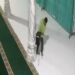 Kotak Amal Masjid Al-Azhar Paya Jeget Dibobol, Aksi Pelaku Terekam CCTV