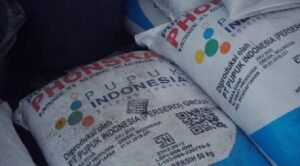 Pupuk Subsidi: Antara harapan dan Realita?