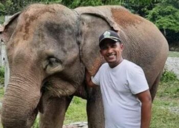 AGC Apresiasi Kebijakan Prabowo Terkait Lahan 20 Ribu Hektare untuk Gajah Liar