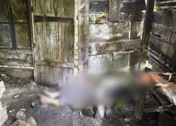 Dua Minggu Tak Pulang, Petani di Bener Meriah ini Ditemukan Tak Bernyawa