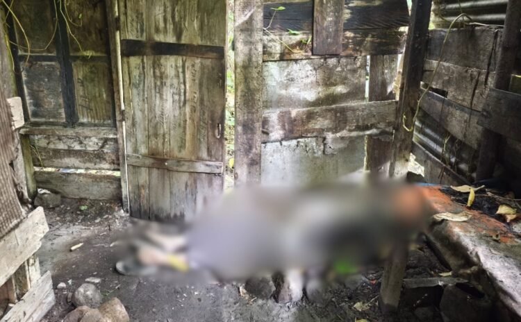 Dua Minggu Tak Pulang, Petani di Bener Meriah ini Ditemukan Tak Bernyawa