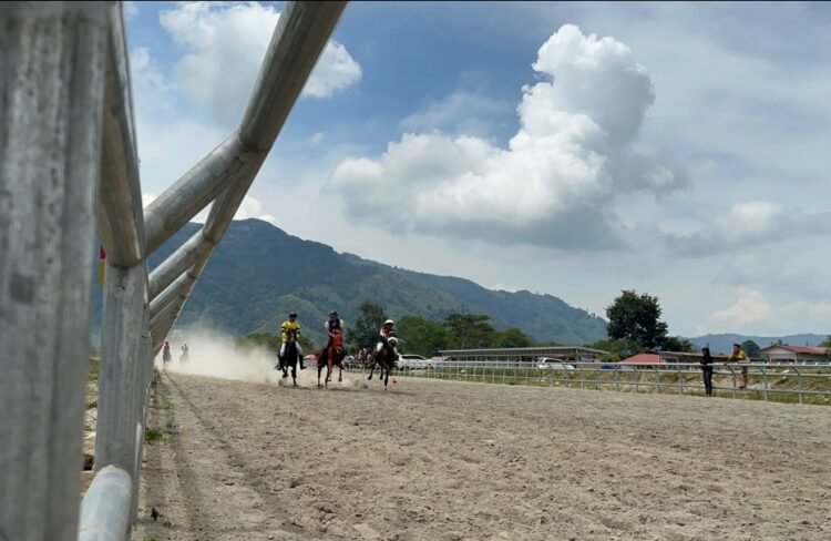 201 Kuda Berlaga di Pacuan Tradisional Gayo HUT ke-448 Kota Takengon