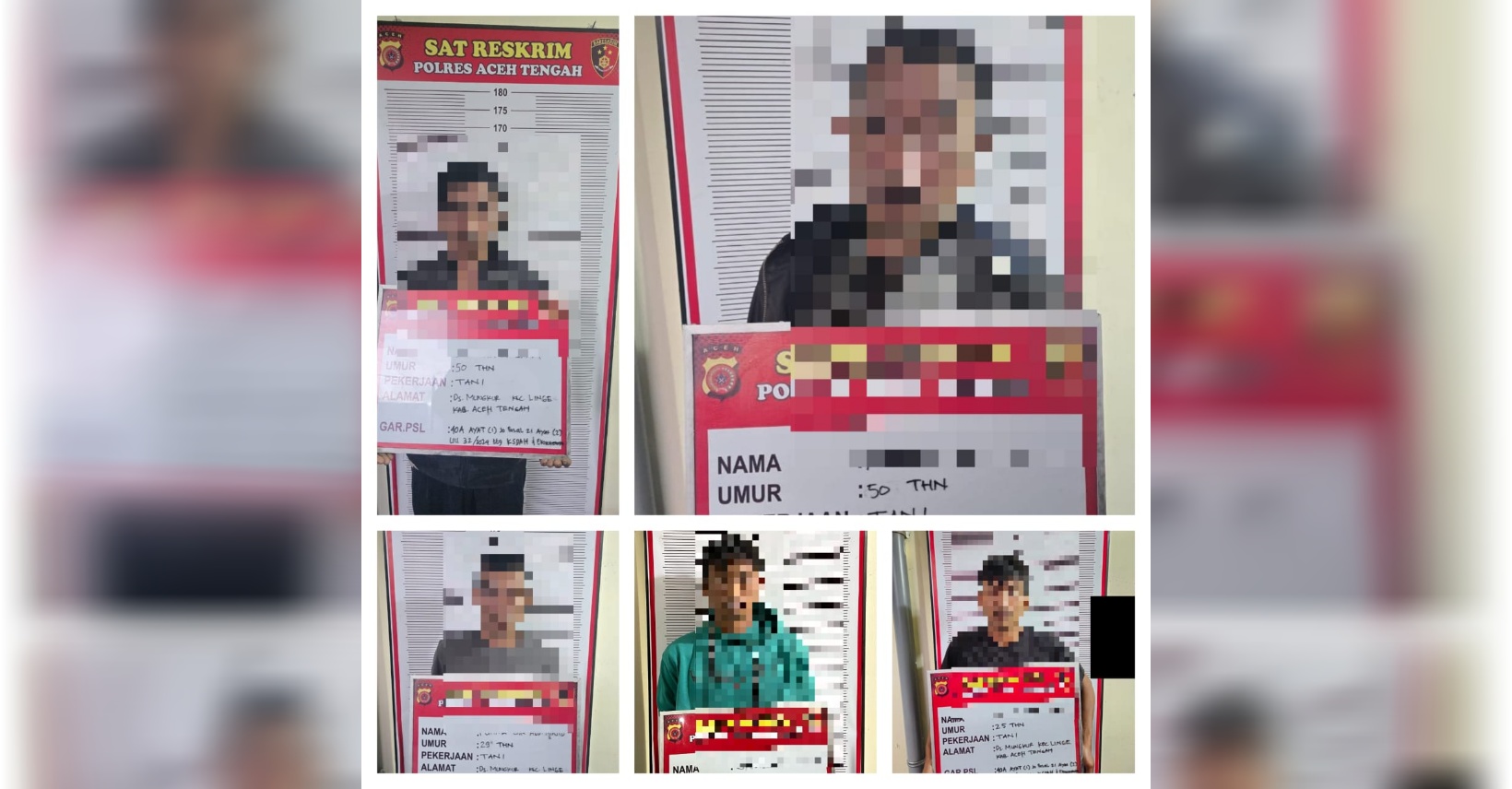 Satreskrim Polres Aceh Tengah Gagalkan Perdagangan Kulit Harimau Sumatra, Lima Pelaku Ditangkap