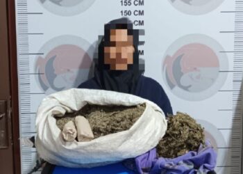 Simpan 3,7 Kilogram Ganja, Wanita 57 Tahun di Bener Meriah ini Ditangkap Polisi