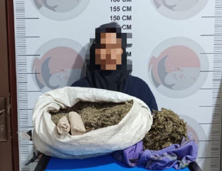 Simpan 3,7 Kilogram Ganja, Wanita 57 Tahun di Bener Meriah ini Ditangkap Polisi
