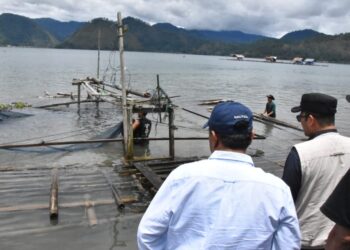 Pembongkaran Cangkul Padang Picu Gejolak, GMNI Desak Pemkab Tetap Konsisten