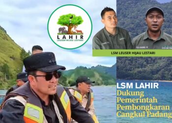LSM Leuser Hijau Lestari Dukung Pemkab Aceh Tengah Bongkar Cangkul Padang 