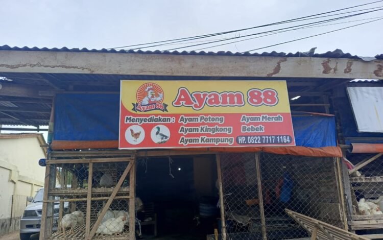 Harga Ayam di Takengon Melonjak Naik