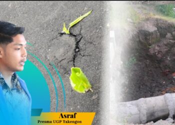 Inspektorat Diminta Audit Dana Desa Kegiatan Aspal Tumbuh Rumput di Blang Mancung