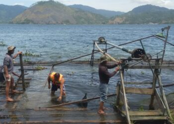 Warga Bongkar Mandiri Cangkul Padang di Mendale, Bupati Haili Apresiasi!