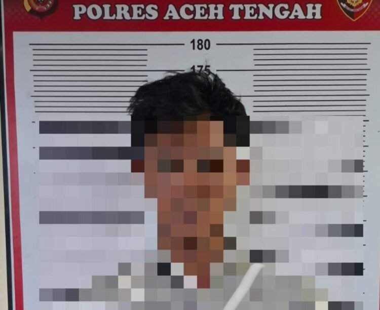 Diduga Lecehkan Anak Dibawah Umur, Pemuda Asal Pegasing ini Diciduk Polisi