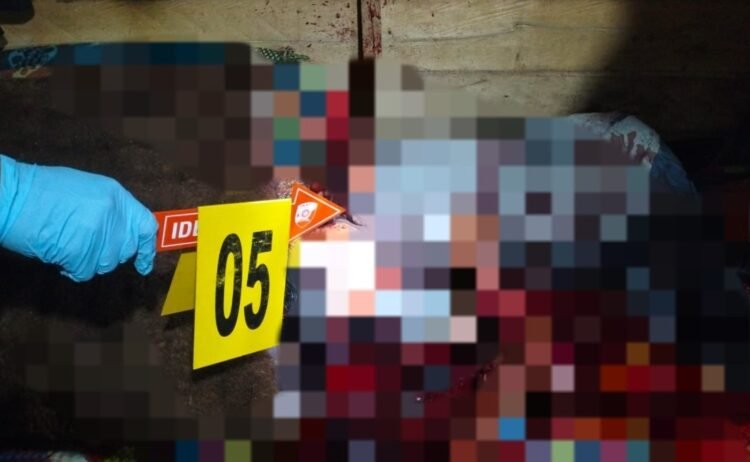 Geger! Ayah Tega Bacok Anak Kandung Hingga Tewas di Bener Meriah 