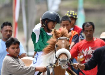 Meriahkan HUT Ke-80 RI, 219 Kuda Berlaga di Blang Bebangka Pegasing 