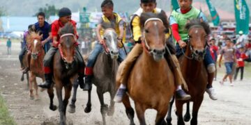 Hari Kedua Pacuan Kuda, 12 Race Siap Guncang Lapangan Blang Bebangka!