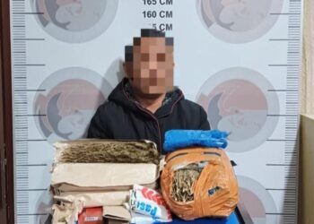 Tersungkur Saat Digerebek! Petani di Bener Meriah Simpan Bal Ganja di Dalam Karung Beras