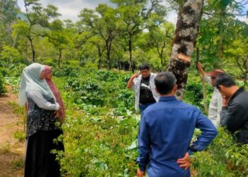 UGP Dorong Petani Janarata Terapkan Agroforestri Bernilai Ekonomi dan Teknologi Bioorganik Inovatif