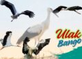 Ulak Bango