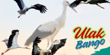 Ulak Bango