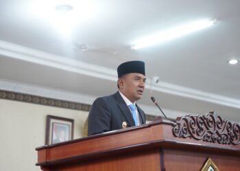 Wabup Muchsin Hasan Perintahkan Inspektorat Audit Khusus RSUD Datu Beru, Target Tuntas 21 Hari