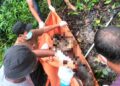 Lima Hari Tak Pulang, Nasrudin Ditemukan Meninggal di Kebun Kopi di Bener Meriah
