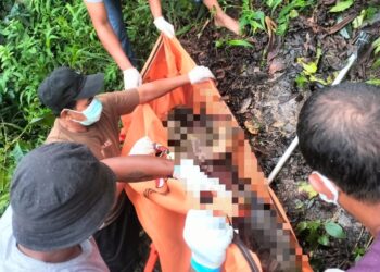 Lima Hari Tak Pulang, Nasrudin Ditemukan Meninggal di Kebun Kopi di Bener Meriah