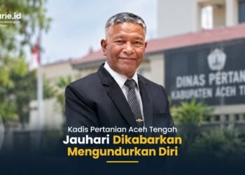 Kadis Pertanian Aceh Tengah Jauhari Mengundurkan Diri 