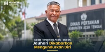 Kadis Pertanian Aceh Tengah Jauhari Mengundurkan Diri