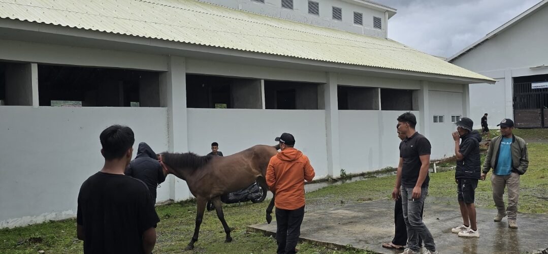 Hari Kedua Pendaftaran, 122 Kuda Dipastikan Berpacu!