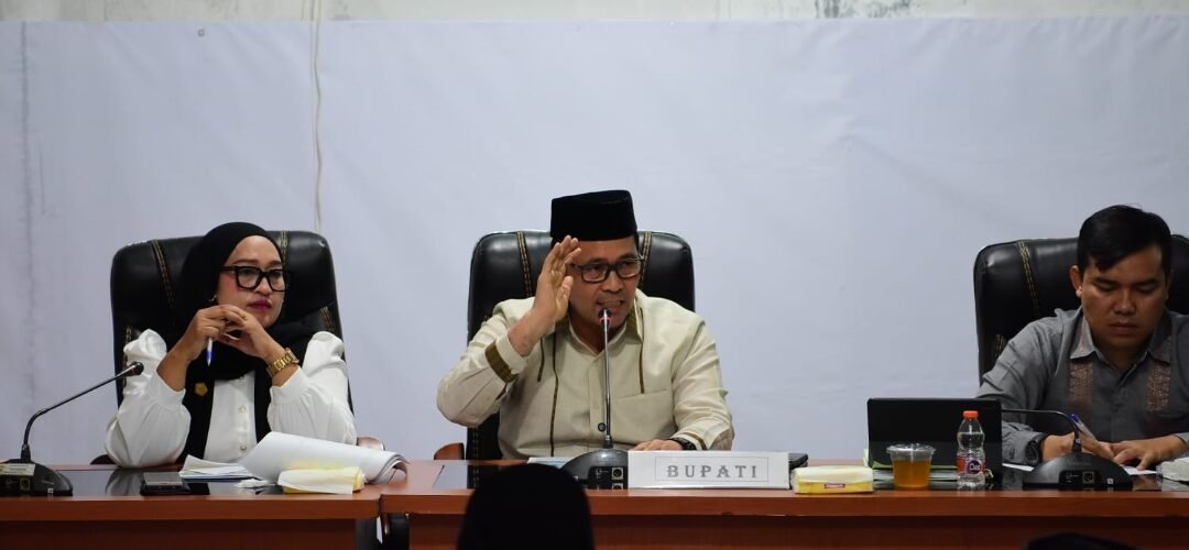 10 Tahun Usia Mobil Alphard Bupati, Haili Yoga Singgung Mobil Dinas Baru